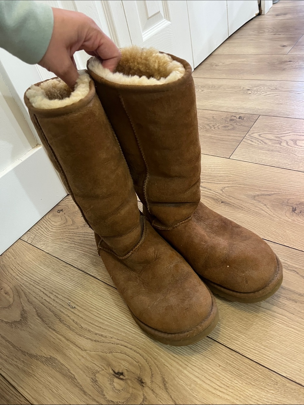 Chestnut Ugg Boots